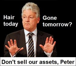 peter-dunne-hair-today-gone-tomorrow1.jpg