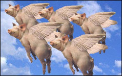 flying-pigs.jpg