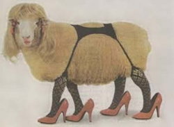 sheep_in_suspenders.jpg