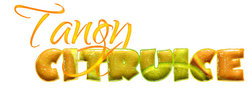 citruice logo.jpg