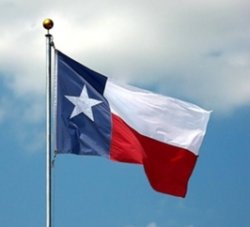 Texas_Flag_Store_-_ApexFlags_dot_com-EasyPics.jpg