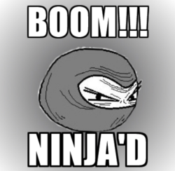 ninjad.PNG
