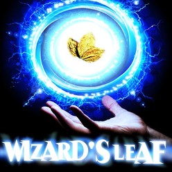 wizards_leaf_eliquid__66851.1401701840.248.248.jpg