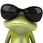 toad with sunglasses (2).jpeg