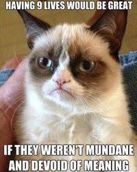 grumpy_cat_meme_9_lives_18qgdn4-18qgdqi.jpg