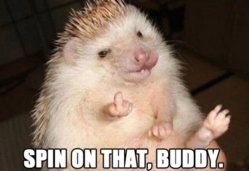 funny-hedgehog-middle-finger-up-spin-on-that-fuck-you-pics-600x412.jpg