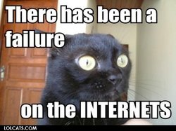 Internet failure cat.jpg